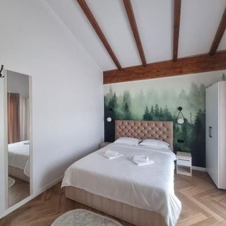 Cabanele Borsa View  (2)