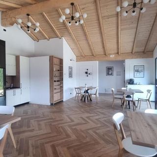 Cabanele Borsa View  (3)