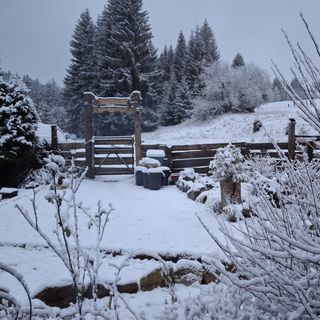Pensjonat Leśniczówka Zieleniec (3)