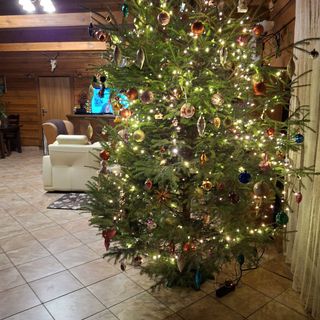 Pensjonat Leśniczówka Zieleniec (4)