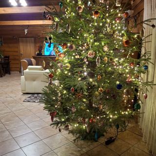 Pensjonat Leśniczówka Zieleniec (4)