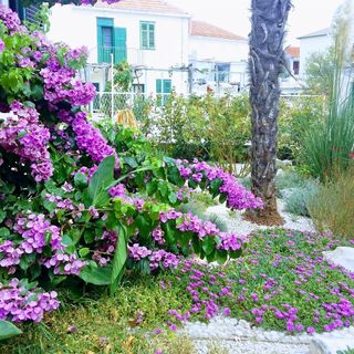 Apartments Mateo Primosten (2)