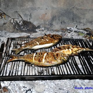 Apartments Bibi Rogoznica (5)