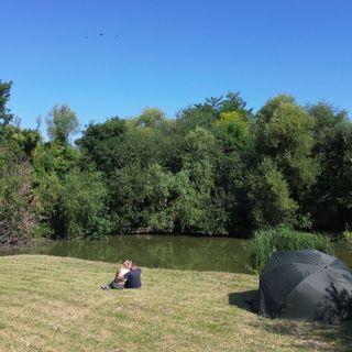 Szőlőskert Vendégház Vajta (5)