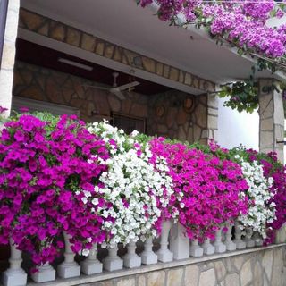 Apartment Dobri Sabunike (3)