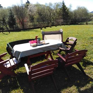 WASZCZYSZYNÓWKA BIESZCZADY (2)