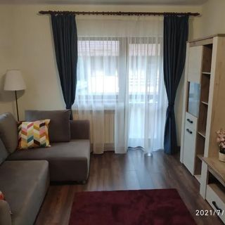Apartament Cozy House Sinaia (5)