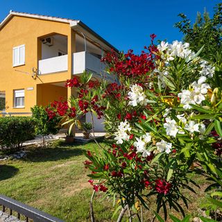 Apartment Agava Seline (2)