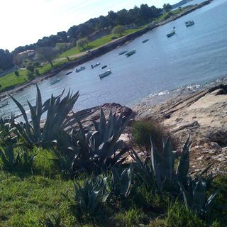 Apartmani Igor Pula (4)