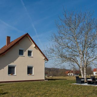 Búzavirág Vendégház Magyarszombatfa (2)