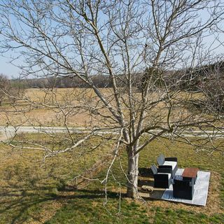 Búzavirág Vendégház Magyarszombatfa (5)