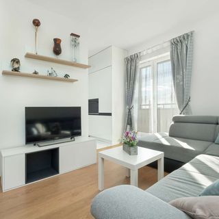 Żeligowskiego 43F | Przytulny apartament | Smart TV Łódź (2)