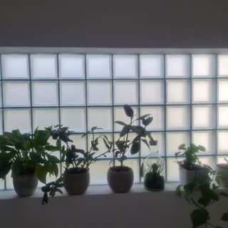 Apartment Anea Marina (3)