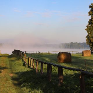 Gospodarstwo Agroturystyczne Sasek (4)
