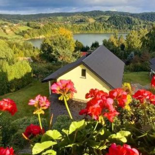 Arkadia Dom nad Jeziorem Solińskim Wołkowyja (2)