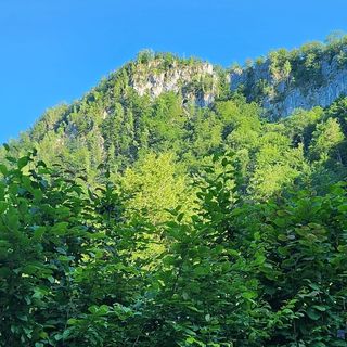 Casa de vacanță Julius Boga (4)