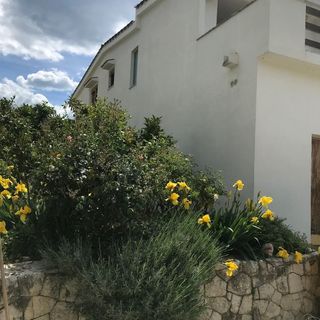 House Katy Peracko blato (5)