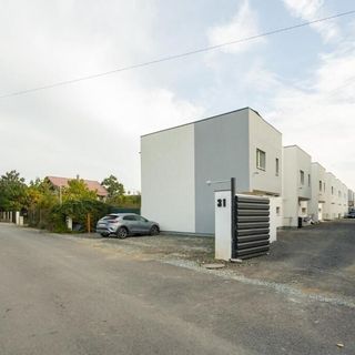 Vila 4 Măgurele (4)