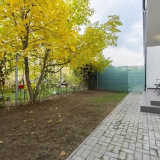 Vila 5 Măgurele (3)