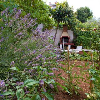 Apartment Tridesettri Crikvenica (4)