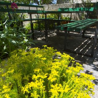 Apartments Lendić Podgora (3)