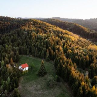 Casa Cifu Toplița (3)