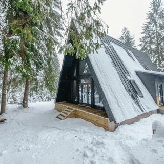 Black Raven Cabin Toplița (4)