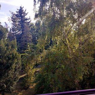 Annamária Apartman Csopak (4)