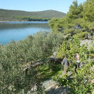 Halászkunyhó Nyaraláshoz A Tenger Mellett Öböl Zincena, Pasman - 12982 Žinčena (4)