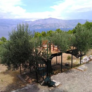 Ház Családok Részére Elszigetelt Helyen Öböl Ducac, Brac - 14312 Dučac (4)