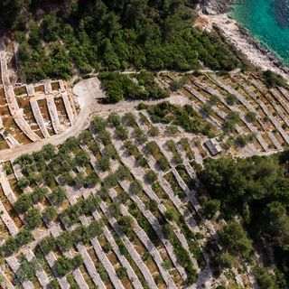Ház Gyermekes Családok Részére A Tenger Mellett Öböl Zanavje, Korcula - 19224 Zanavje (2)