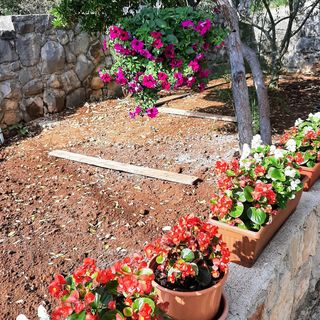 Nyaralóház Parkolóhellyel Öböl Piskera, Solta - 21775 Piškera (3)