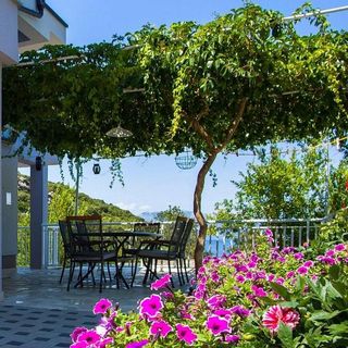 Apartmanok A Tenger Mellett Öböl Osobjava, Peljesac - 21927 Osobjava (4)