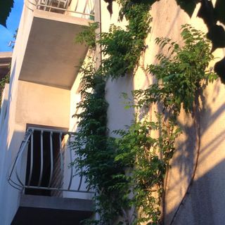 Apartmanok és Szobák A Tenger Mellett Drasnice, Makarska - 22573 Drašnice (3)