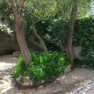 Apartmanok és Szobák A Tenger Mellett Drasnice, Makarska - 22573 Drašnice (5)