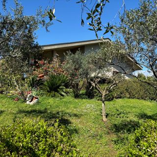 Apartmanok Parkolóhellyel Galizana, Fazana - 22977 Galižana (5)