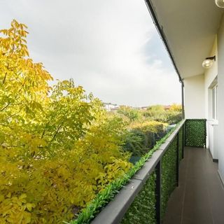 Casa 5 Măgurele (5)