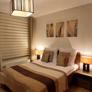 Apartament Idea Wacyn Premium (2)