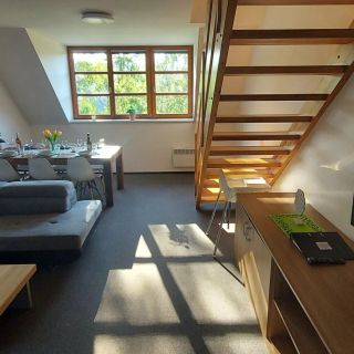 Wellness apartmány Říčky (4)