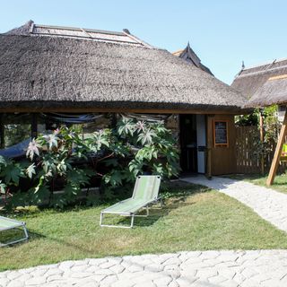 Cerdacul cu Stuf Sfântu Gheorghe (5)