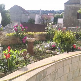 Apartments and Room Rest Sumartin (5)