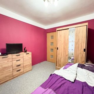 Cozy Apartment Hunedoara (5)