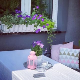 Gościniec Pod Brzozami Poznań (5)