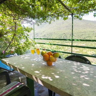 Apartment Feel the nature Slime (2)