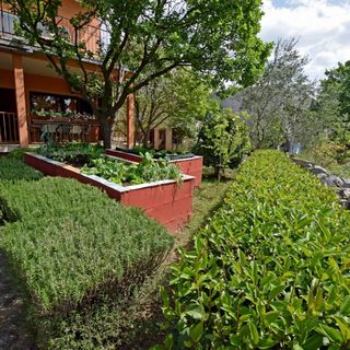 Apartments Mari Seline (4)