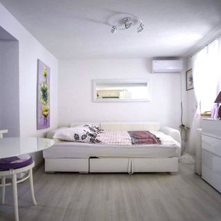 House Marie's Lavander Dream Raslina (5)