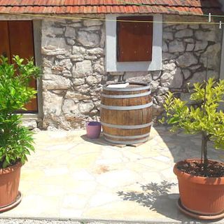 House Marie's Lavander Dream Raslina (4)