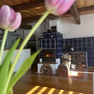 Penzion Muštelka (5)