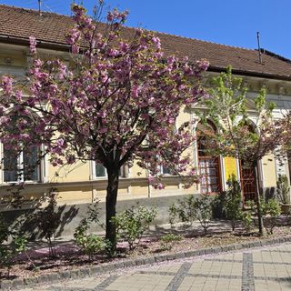 Nagymaros Apartman (5)