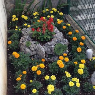 Apartments Smiljka Makarska (4)